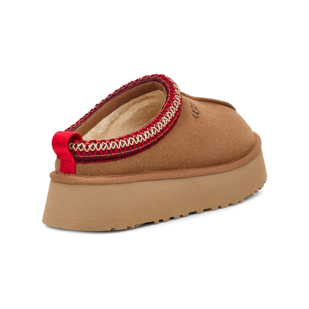 W Tazz Bruin 1 W Tazz Bruin 1