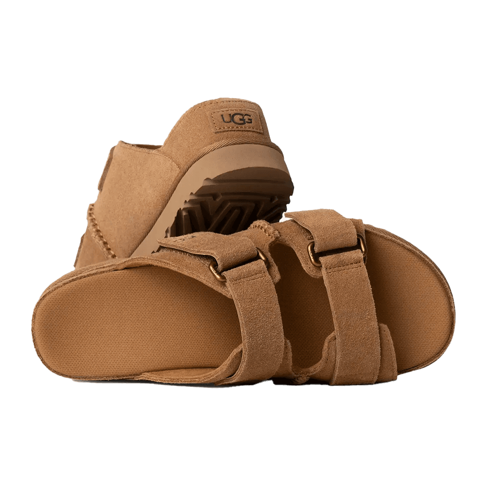 W Goldenstar Hi Slide Bruin 1 W Goldenstar Hi Slide Bruin 1