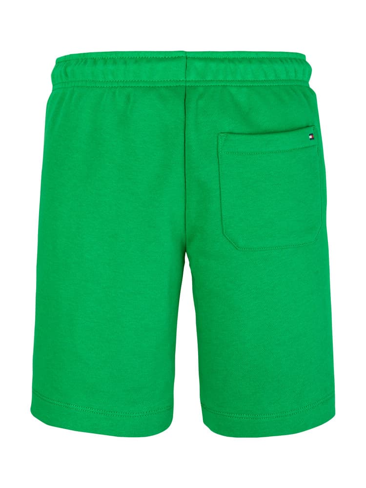 TOMMY FLAG HILFIGER SHORT Groen TOMMY FLAG HILFIGER SHORT Groen