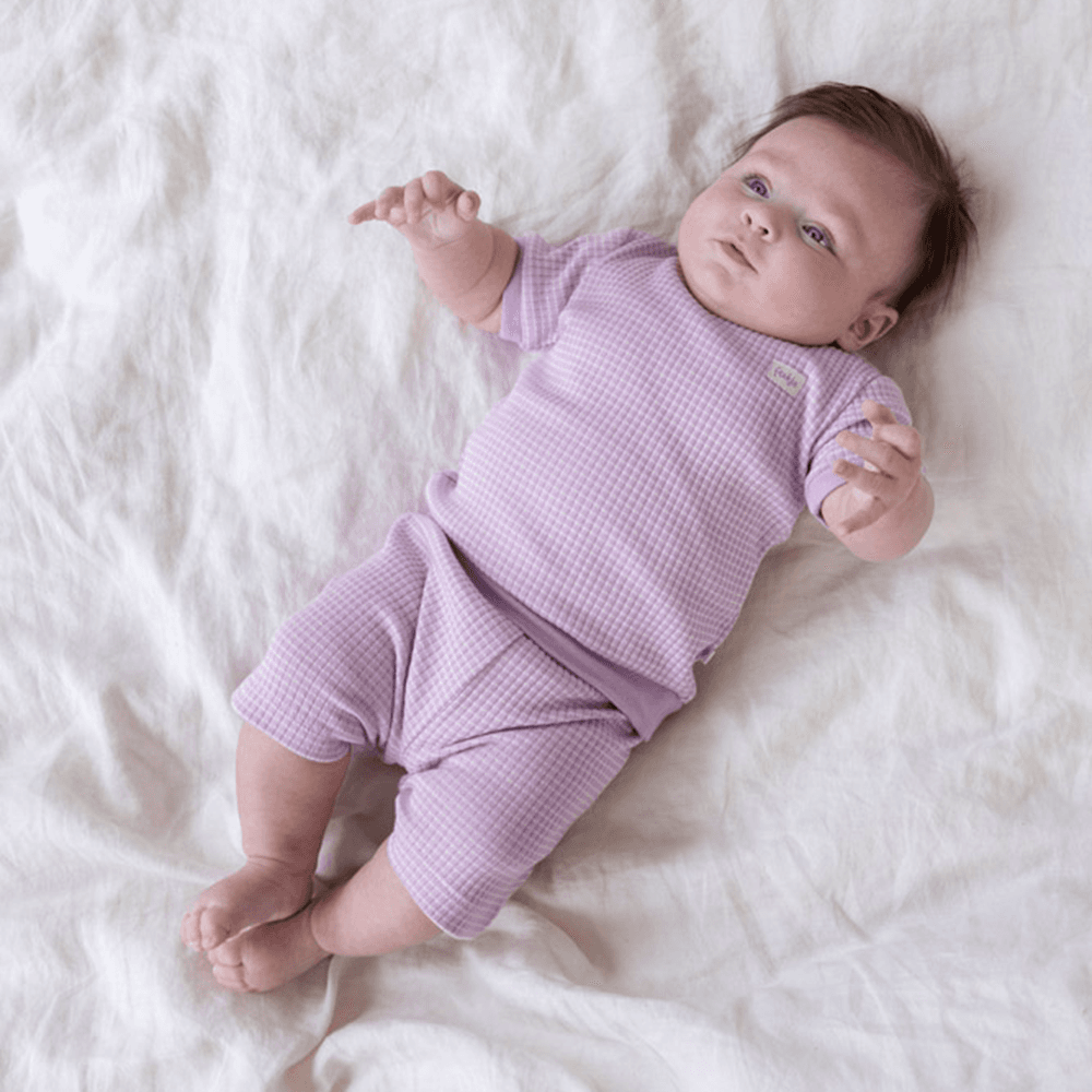 Shortama wafel Summer Special Paars Shortama wafel Summer Special Paars