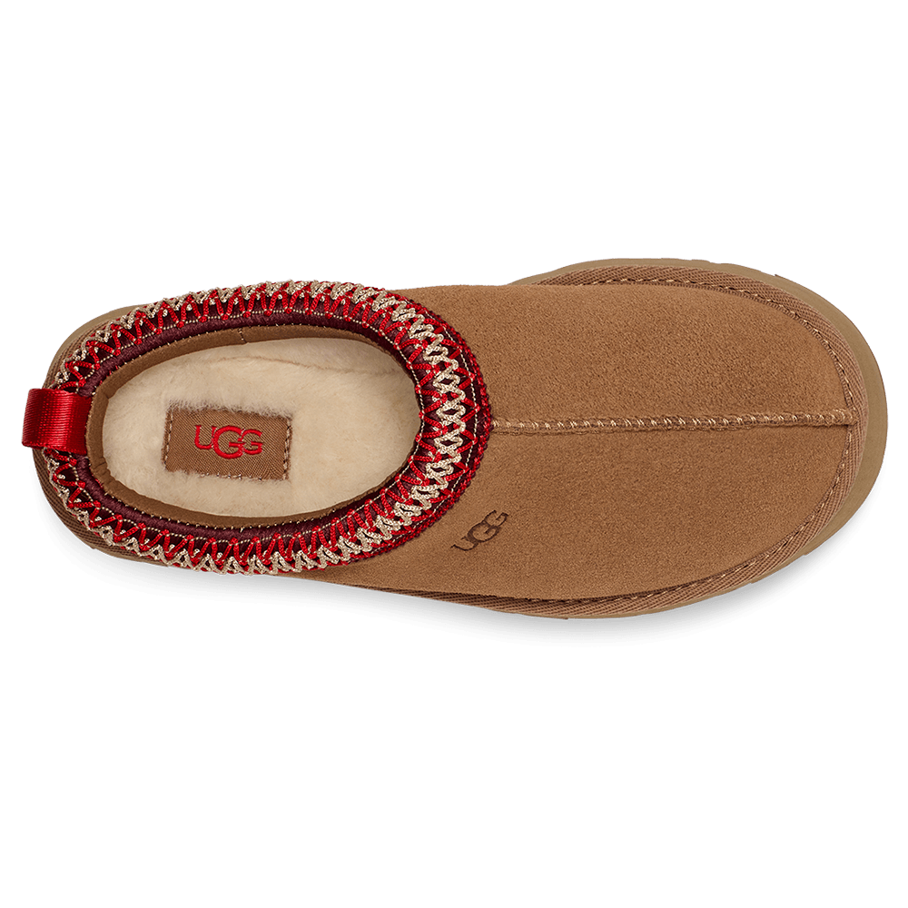 K Tazz Bruin 1 K Tazz Bruin 1