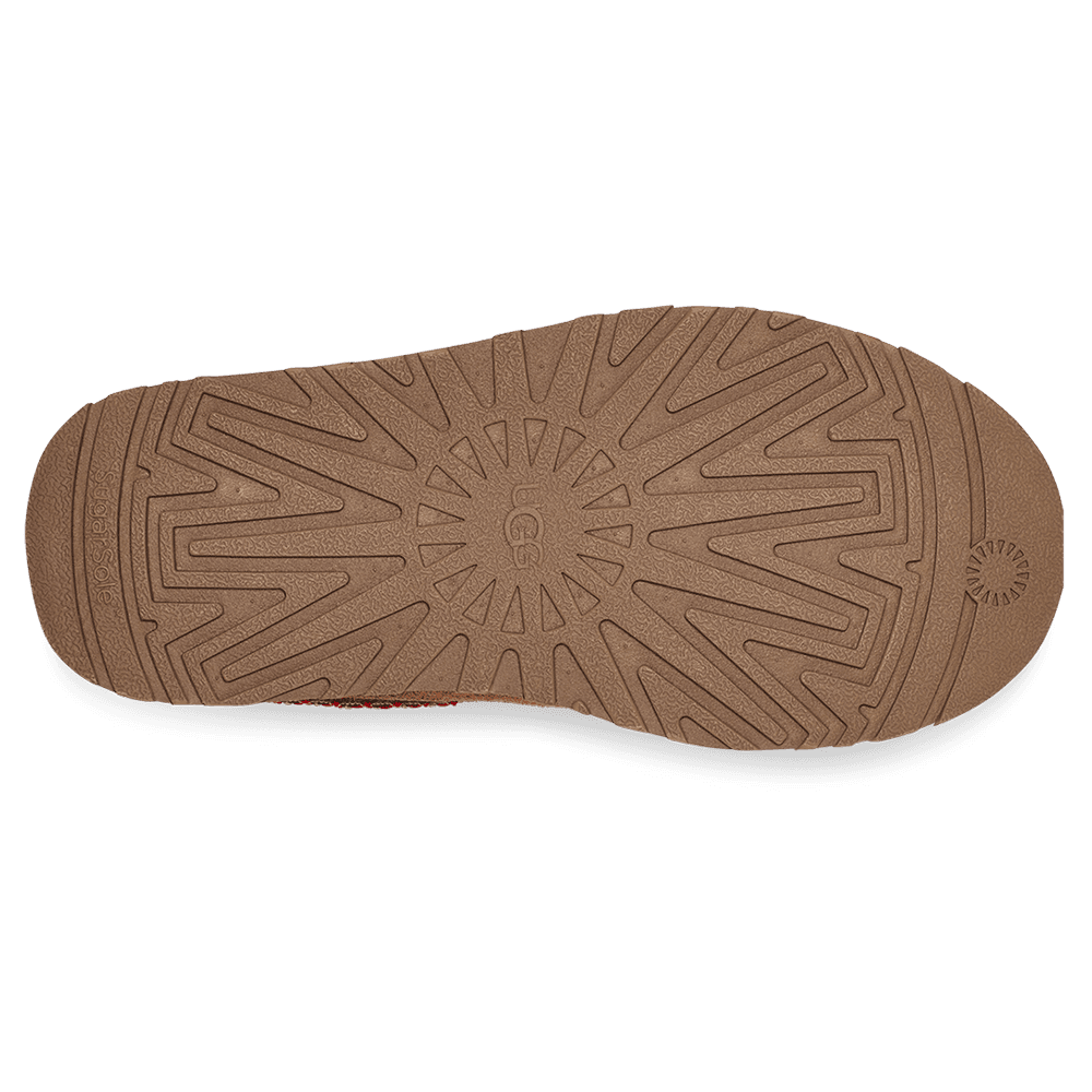 K Tazz Bruin 1 K Tazz Bruin 1