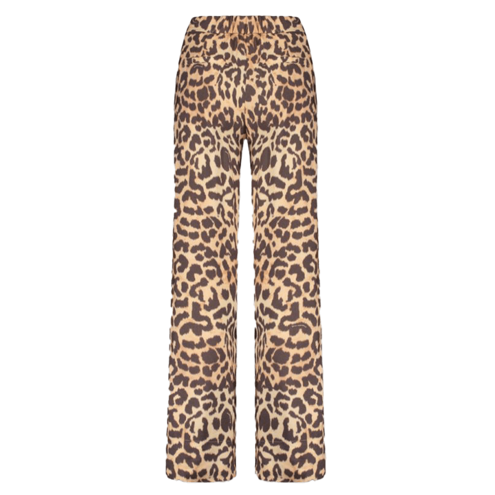 HOLLY-PA Bruin 1 HOLLY-PA Bruin 1