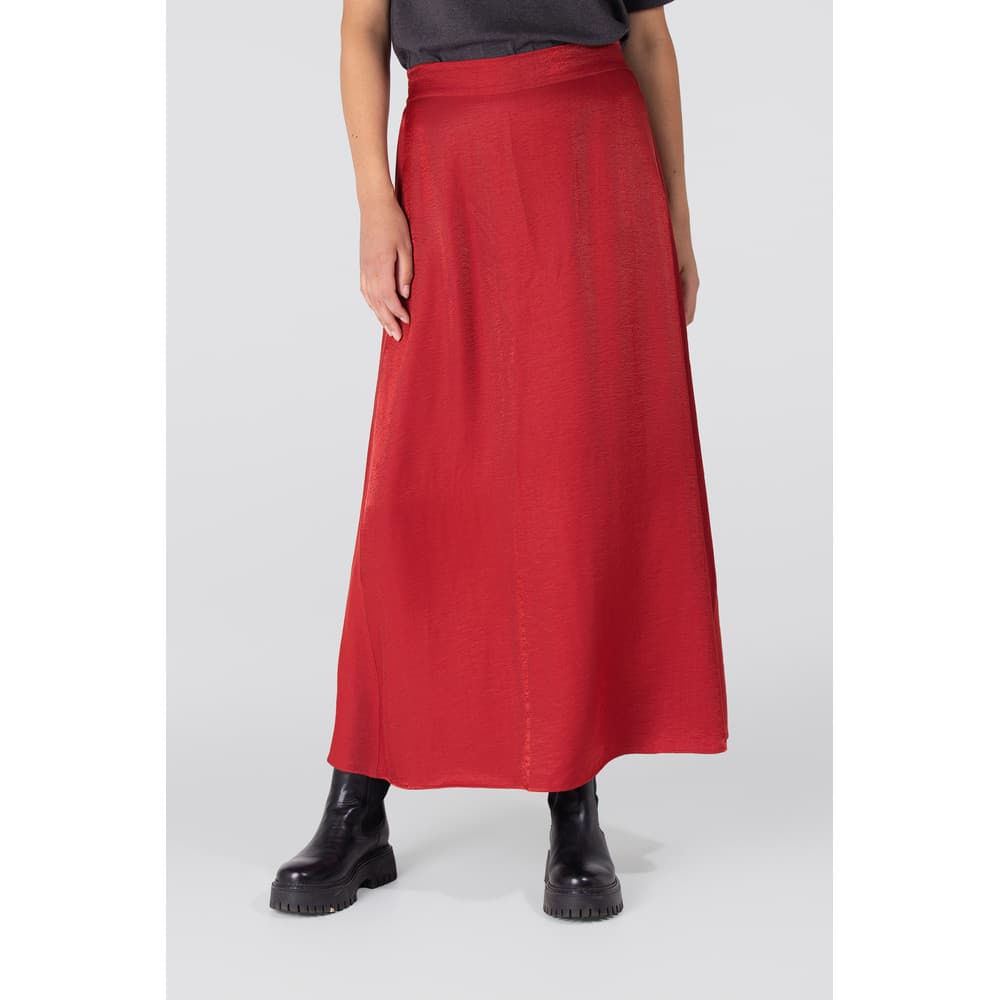 DAHLIA ROK WS 694 long Rood DAHLIA ROK WS 694 long Rood