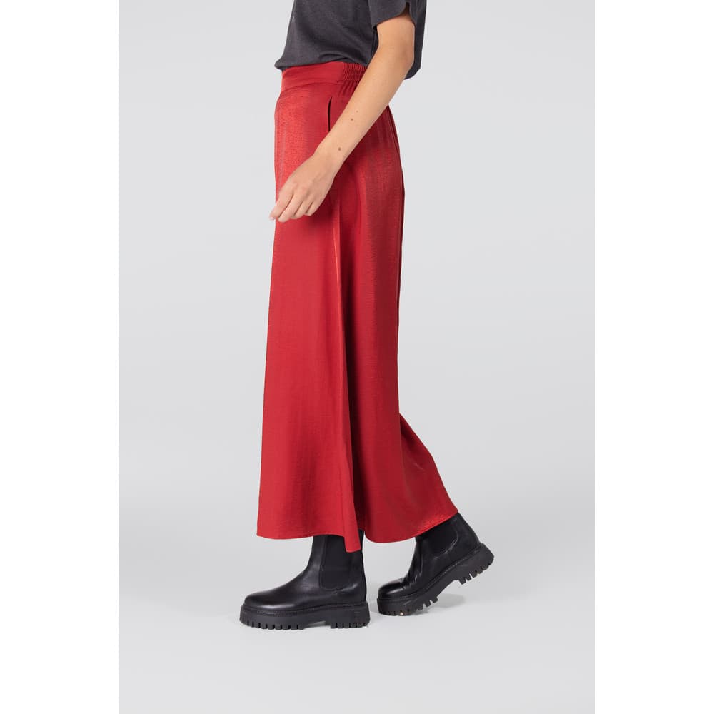 DAHLIA ROK WS 694 long Rood DAHLIA ROK WS 694 long Rood