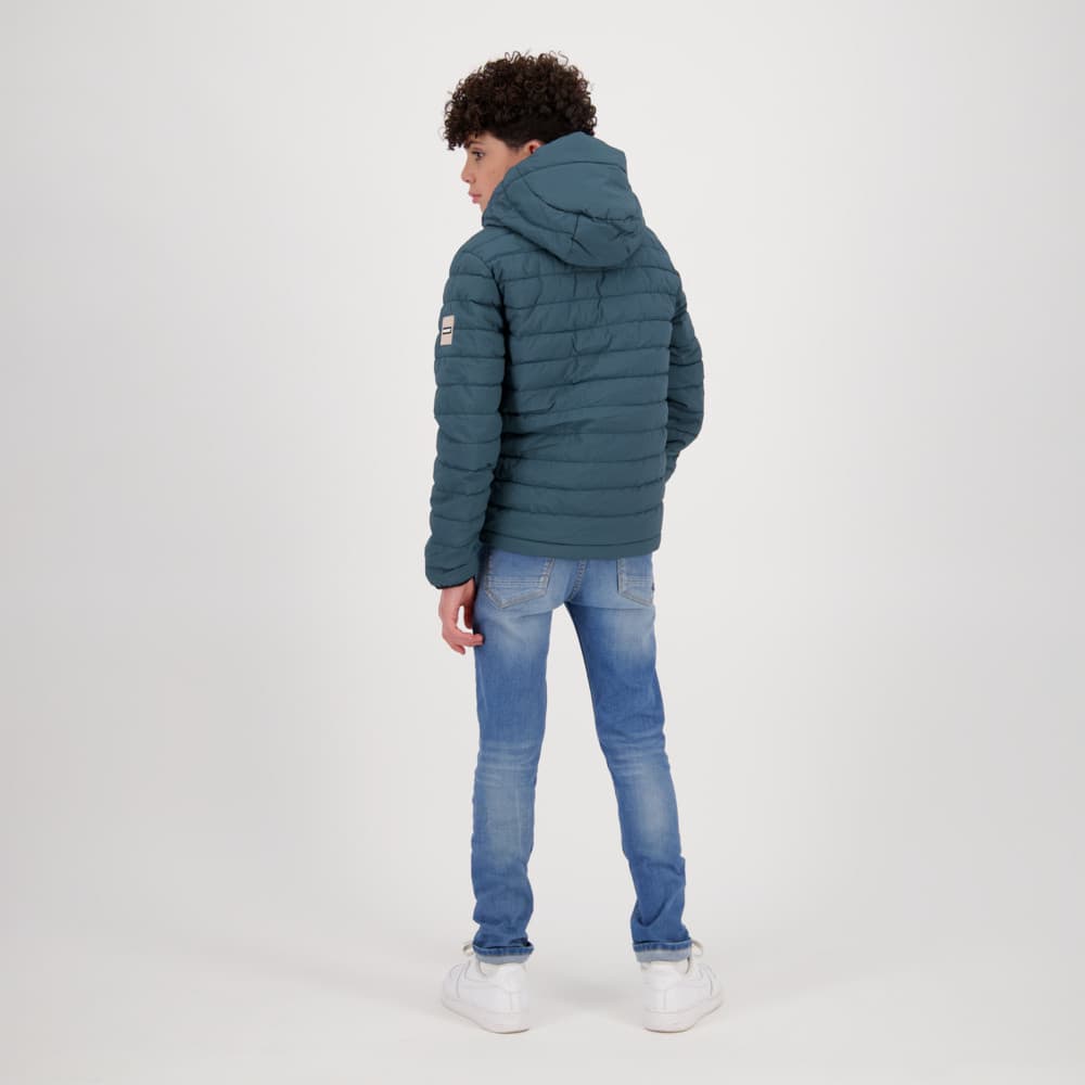 Theodore jas Blauw Theodore jas Blauw