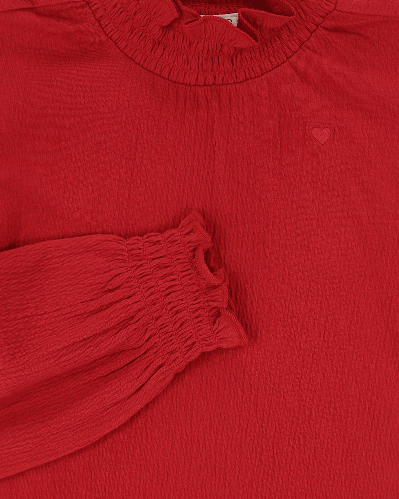 Little longsleeve t-shirt turtle Rood Little longsleeve t-shirt turtle Rood