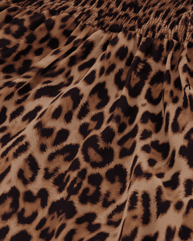 Leopard Dress Bruin 1 Leopard Dress Bruin 1