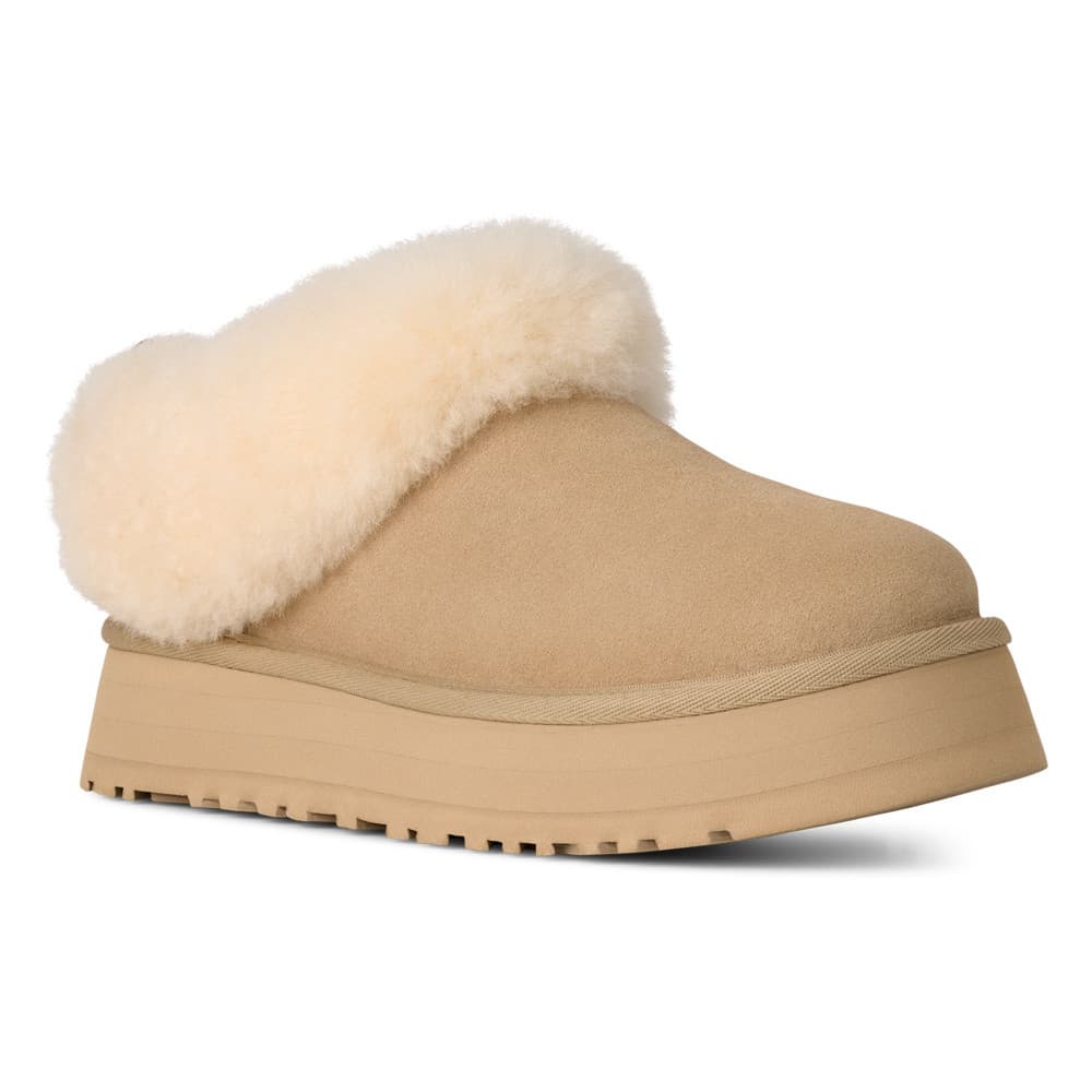 W Tazzele Groen W Tazzele Groen