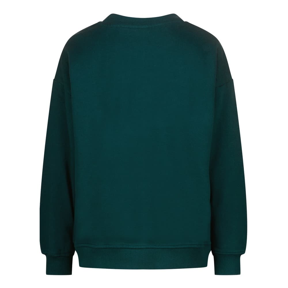 Novan Sweater Groen Novan Sweater Groen