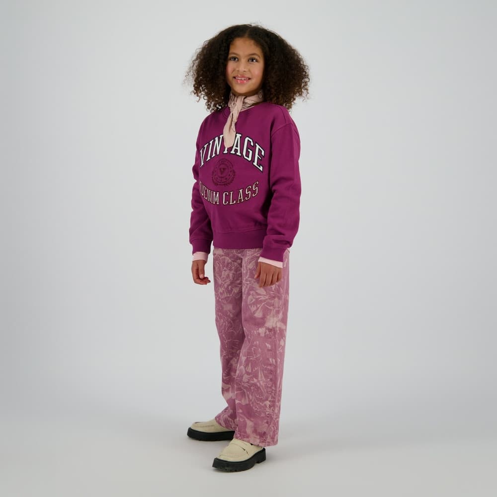 Nirone Sweater Vintage Bordeaux Nirone Sweater Vintage Bordeaux