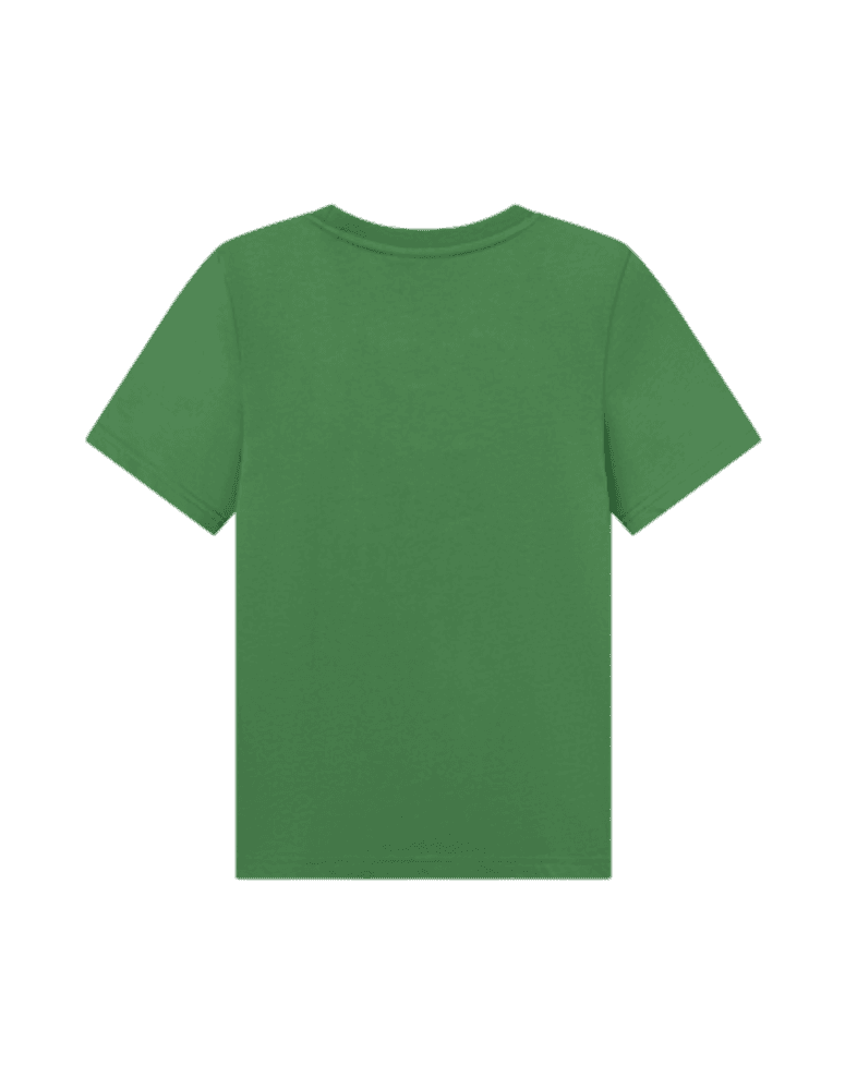 Andrew T-Shirt Groen Andrew T-Shirt Groen