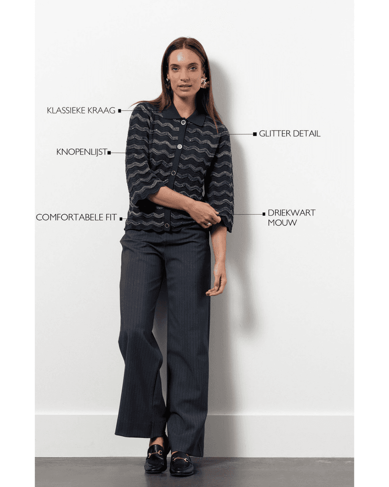 Jacy sequins cardigan Antraciet Jacy sequins cardigan Antraciet