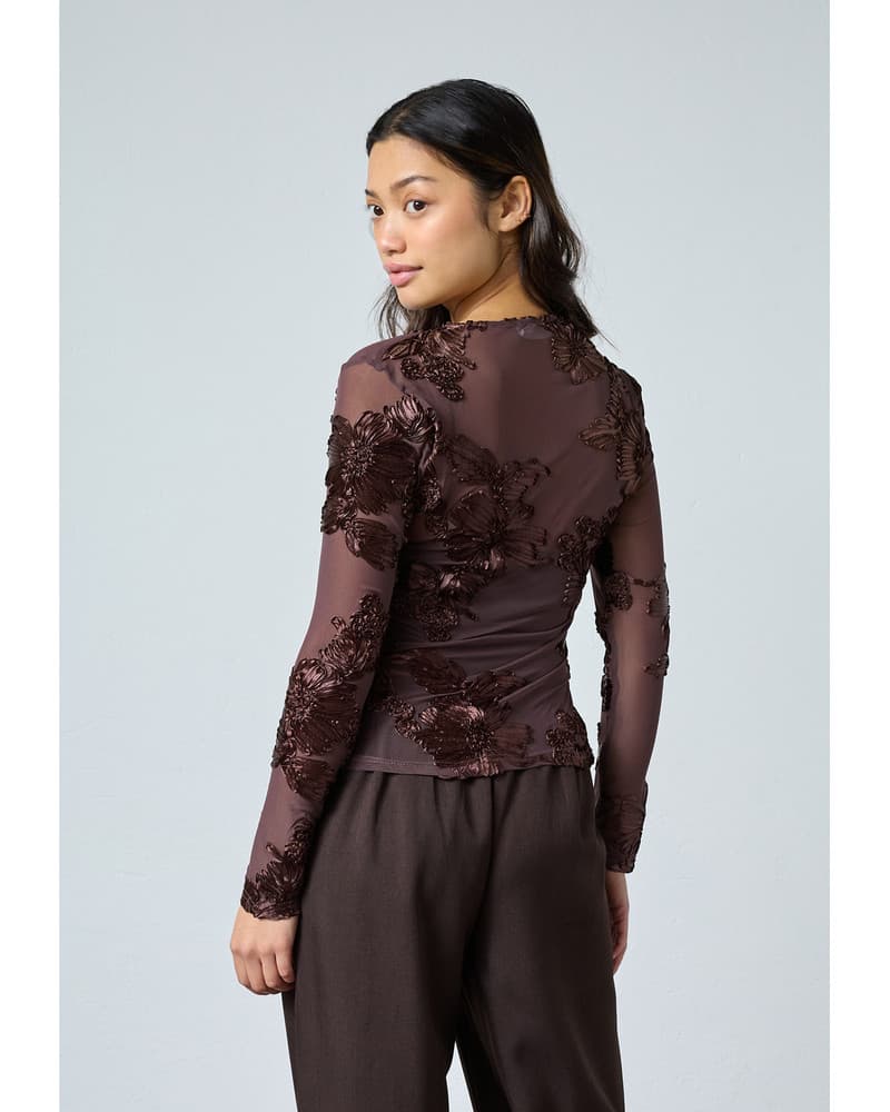 SIS-LS Top Bruin 1 SIS-LS Top Bruin 1