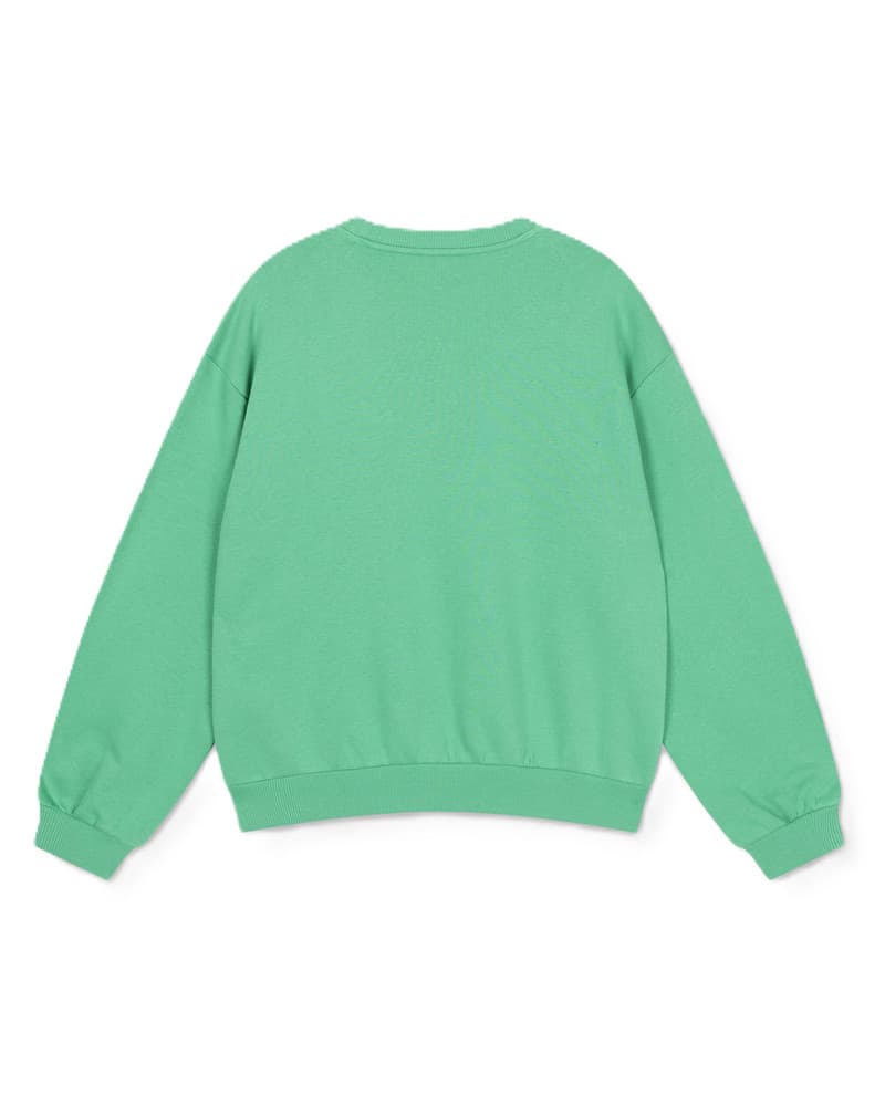 ladies knitted embroidered A sweater Groen ladies knitted embroidered A sweater Groen