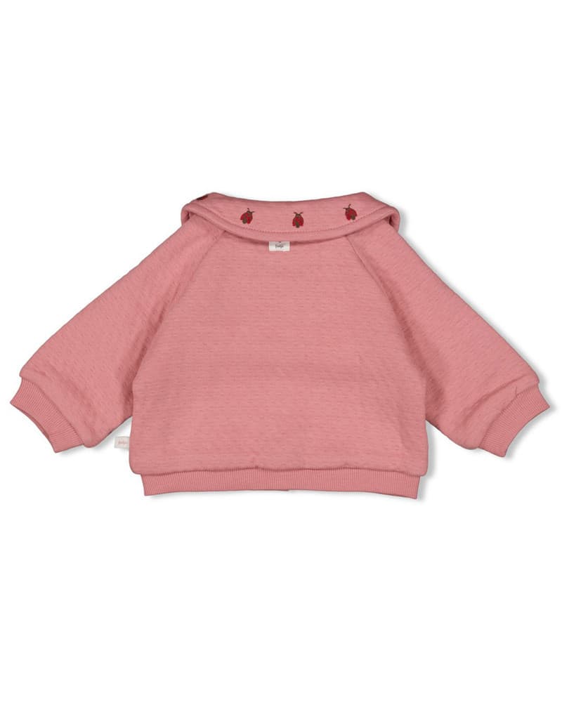 Jasje - Ladybug Roze Jasje - Ladybug Roze