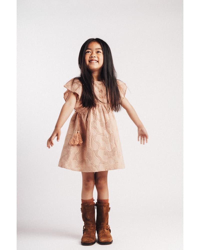 Mave Lace Dress Roze Mave Lace Dress Roze