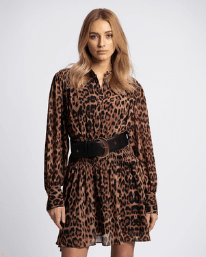 Leopard Dress Bruin 1